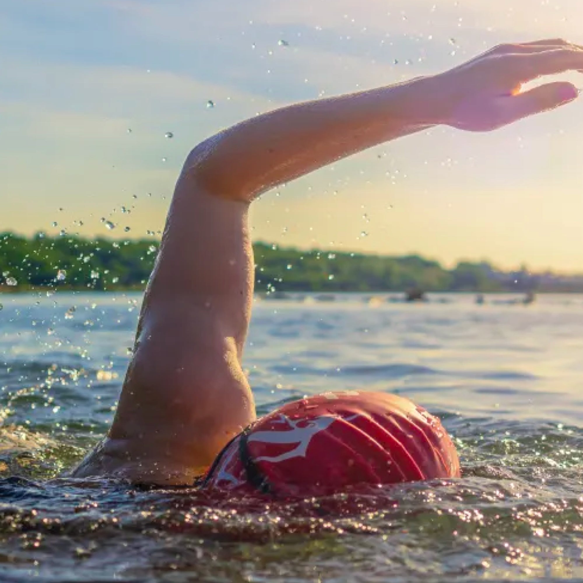 The magical power of wild swimming