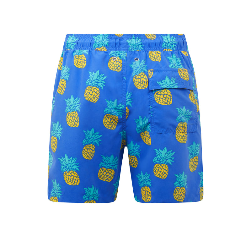 Blue & Yellow Pineapples
