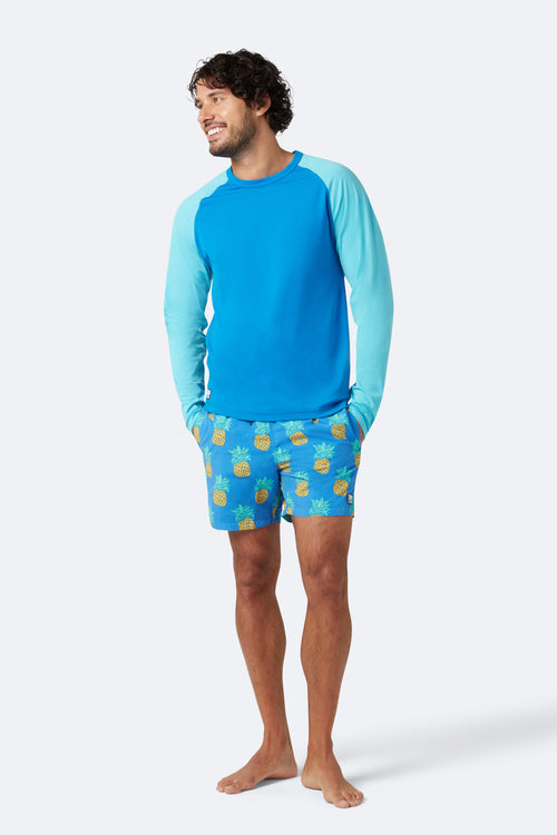 Blue & Yellow Pineapples