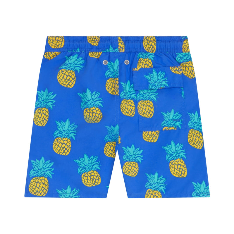 Blue & Yellow Pineapples