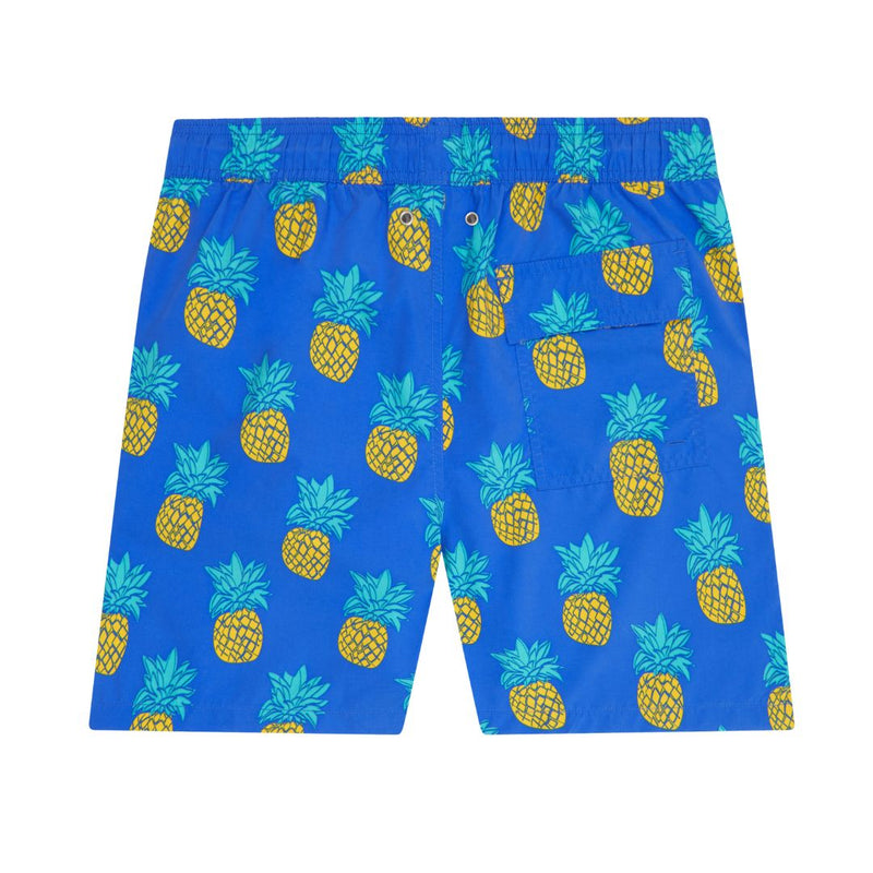 Blue & Yellow Pineapples