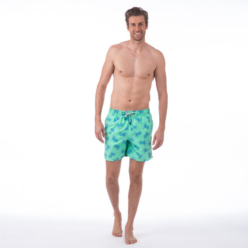 Jade Green Pineapples