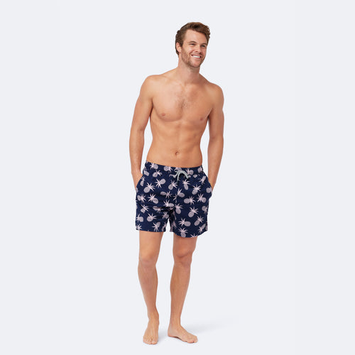 Shell Pink Pineapple Set